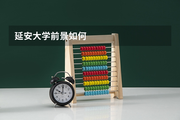 延安大学前景如何
