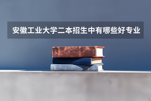 安徽工业大学二本招生中有哪些好专业？