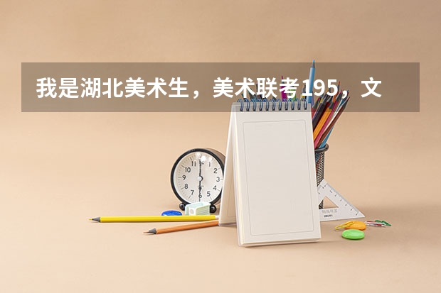 我是湖北美术生，美术联考195，文化课多少能上杭州师范大学?