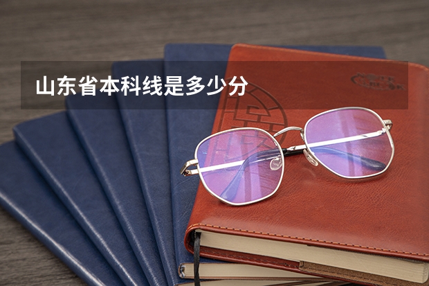 山东省本科线是多少分
