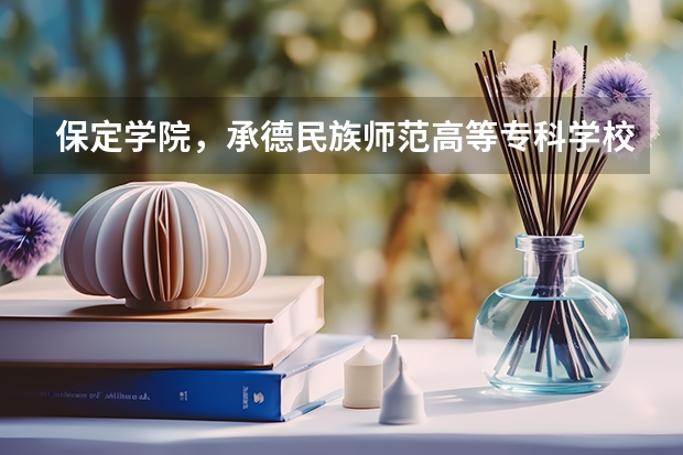 保定学院，承德民族师范高等专科学校，河北传媒学院播音主持专业的专业分数线 河北民族师范学院分数线