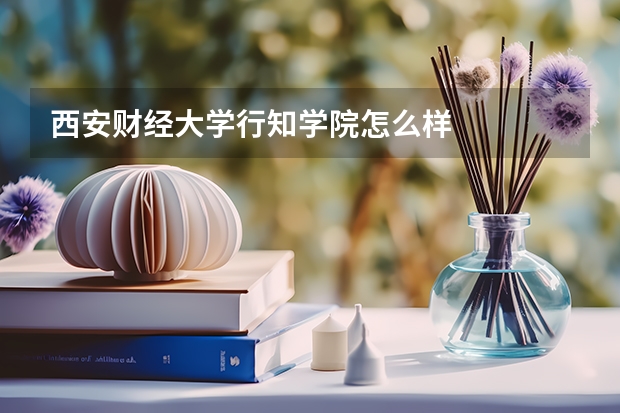 西安财经大学行知学院怎么样