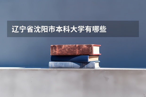 辽宁省沈阳市本科大学有哪些