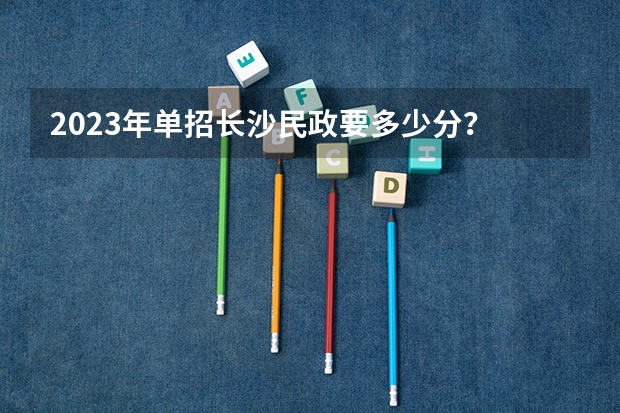 2023年单招长沙民政要多少分？