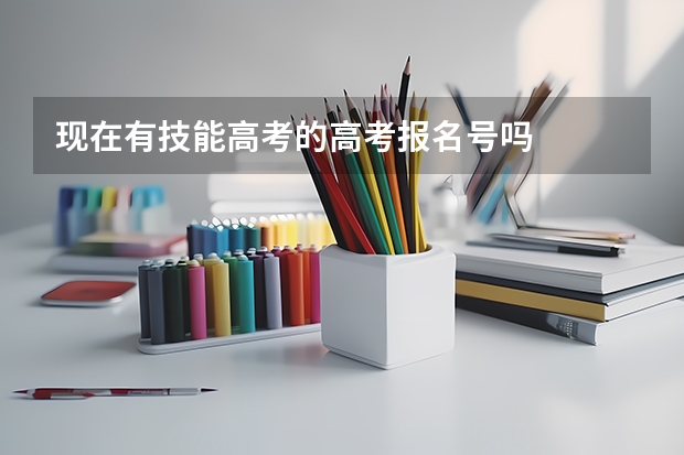 现在有技能高考的高考报名号吗