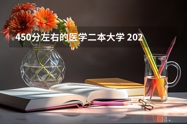 450分左右的医学二本大学 2024年医学类二本最低分数线