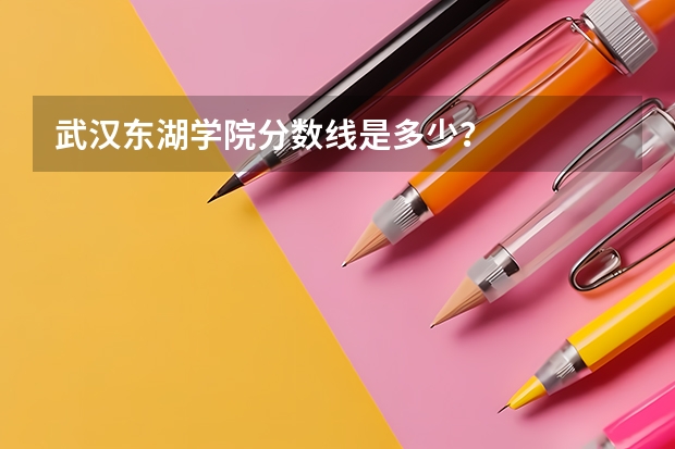 武汉东湖学院分数线是多少？