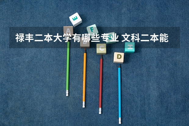 禄丰二本大学有哪些专业 文科二本能进云南大学哪些专业？