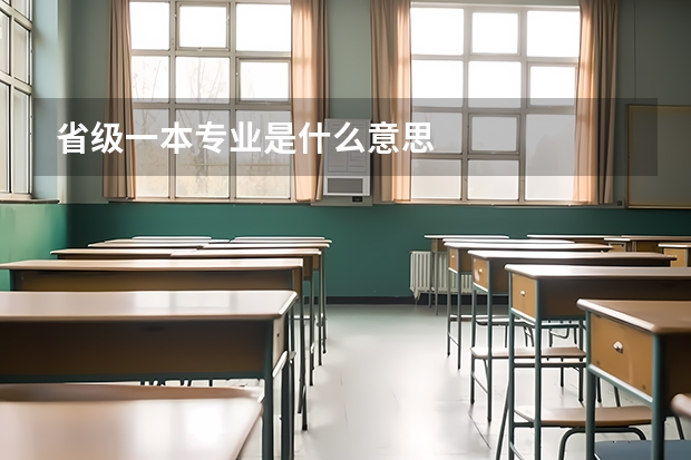 省级一本专业是什么意思