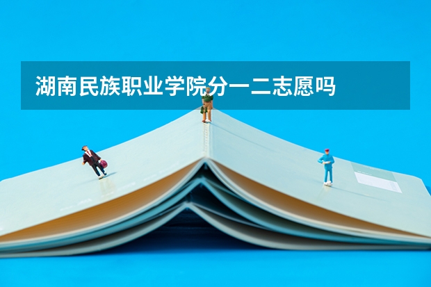 湖南民族职业学院分一二志愿吗