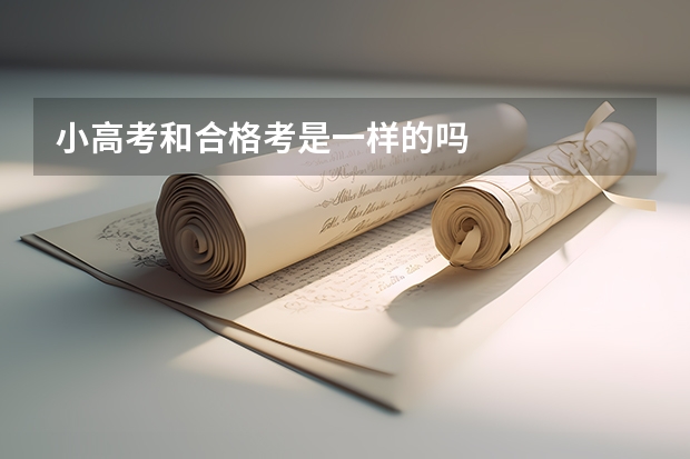 小高考和合格考是一样的吗