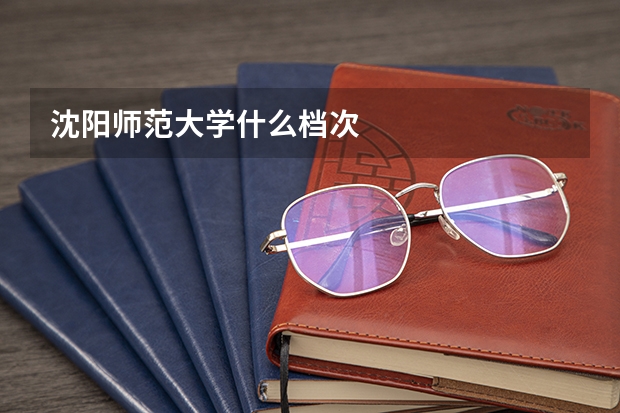 沈阳师范大学什么档次