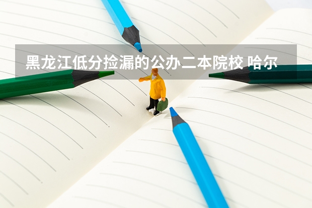 黑龙江低分捡漏的公办二本院校 哈尔滨二本大学录取分数线