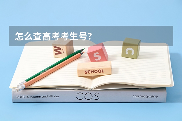 怎么查高考考生号？