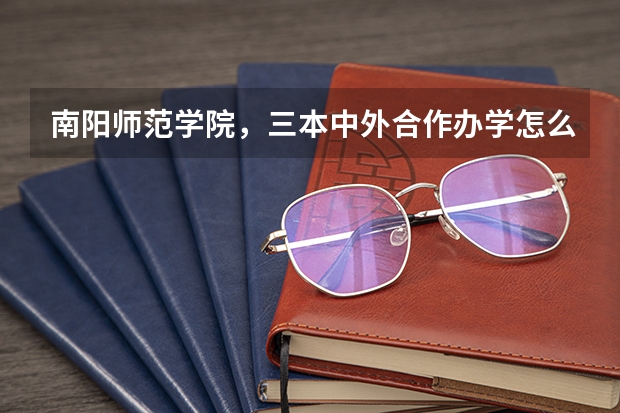 南阳师范学院,三本中外合作办学怎么样