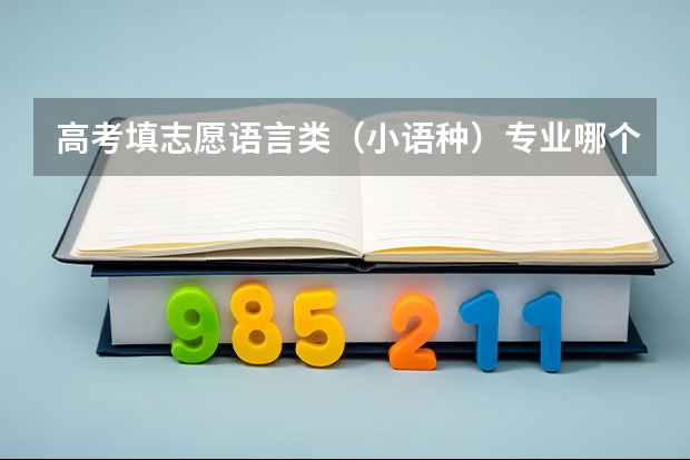 高考填志愿语言类（小语种）专业哪个好？？？
