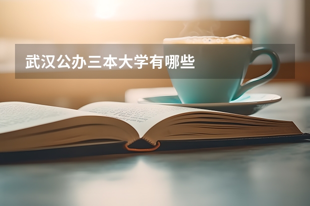 武汉公办三本大学有哪些