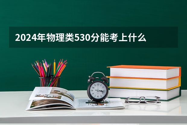2024年物理类530分能考上什么大学?