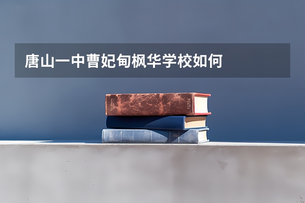 唐山一中曹妃甸枫华学校如何