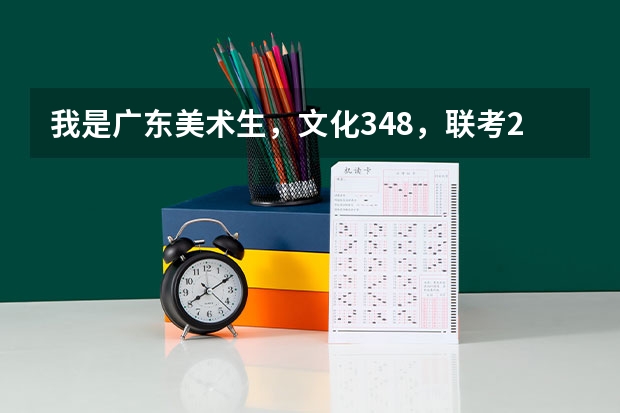 我是广东美术生,文化348,联考226~可以报什么大学