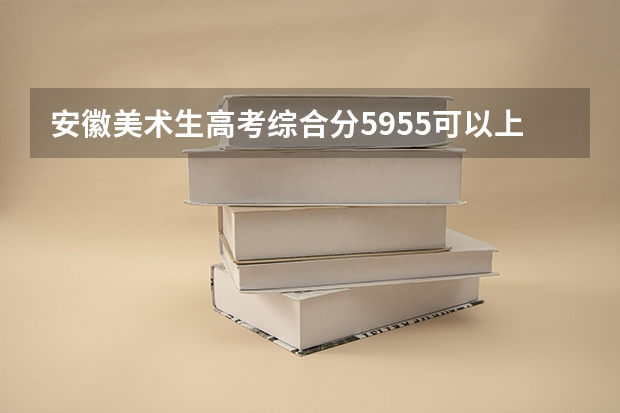 安徽美术生高考综合分595.5可以上什么大学？