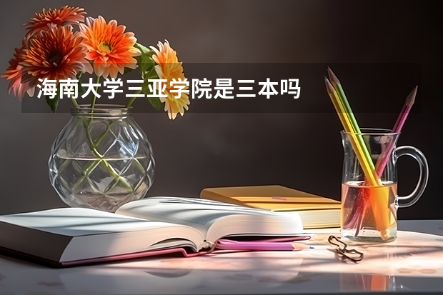 海南大学三亚学院是三本吗