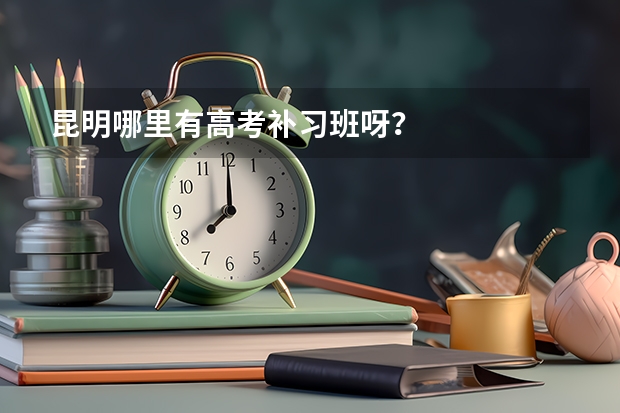 昆明哪里有高考补习班呀?