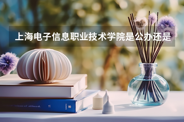 上海电子信息职业技术学院是公办还是民办 福建哪几所大专最好。并且支持专升本