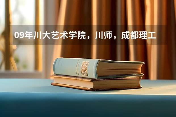 09年川大艺术学院，川师，成都理工大学影视艺术学院艺考招生简章（对山东艺考的评价）