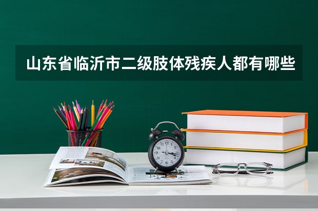 山东省临沂市二级肢体残疾人都有哪些补助