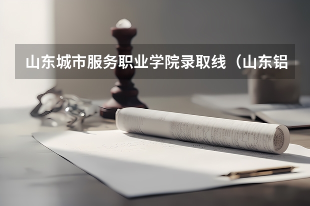 山东城市服务职业学院录取线（山东铝业职业学院分数线）