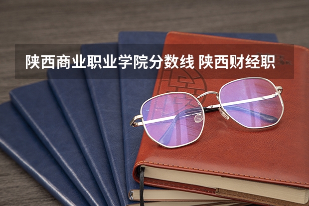 陕西商业职业学院分数线 陕西财经职业技术学院录取线