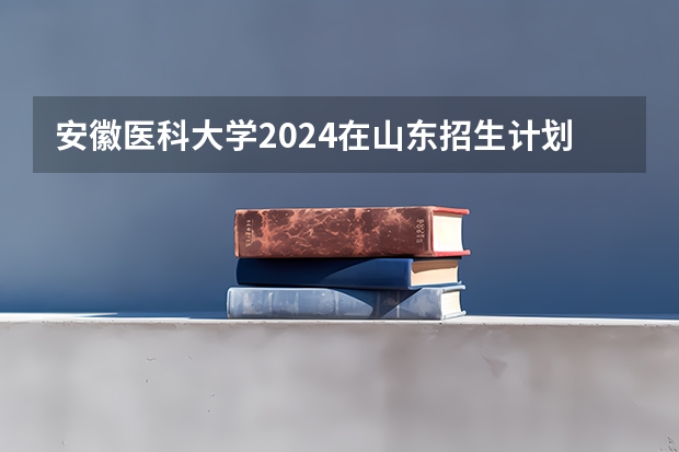 安徽医科大学2024在山东招生计划是什么
