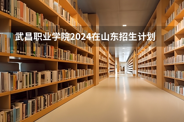 武昌职业学院2024在山东招生计划是什么
