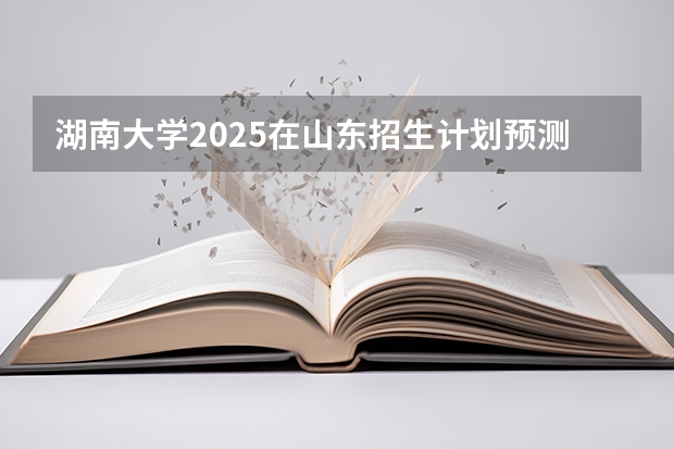 湖南大学2025在山东招生计划预测