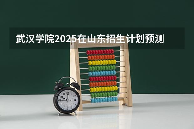 武汉学院2025在山东招生计划预测