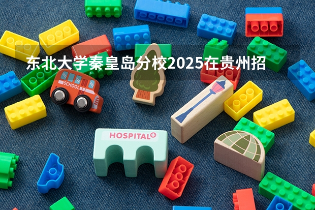 东北大学秦皇岛分校2025在贵州招生计划预测