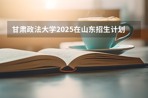 甘肃政法大学2025在山东招生计划预测