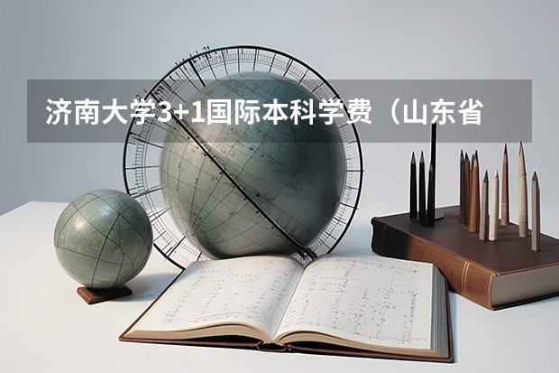 济南大学3+1国际本科学费（山东省本科大学排名表）