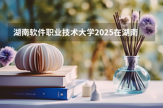 湖南软件职业技术大学2025在湖南招生计划预测