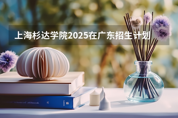上海杉达学院2025在广东招生计划