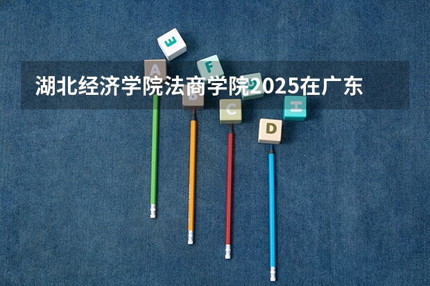 湖北经济学院法商学院2025在广东招生计划