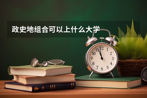 政史地组合可以上什么大学