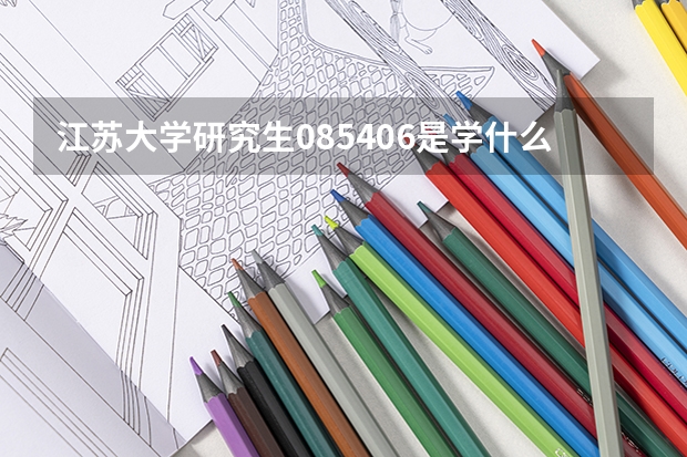 江苏大学研究生085406是学什么的