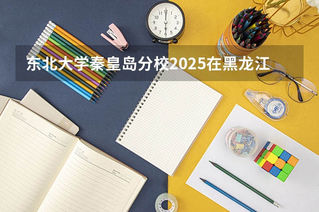 东北大学秦皇岛分校2025在黑龙江招生计划