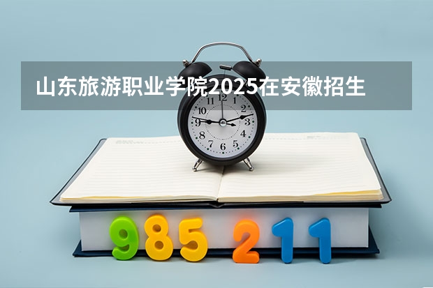 山东旅游职业学院2025在安徽招生计划