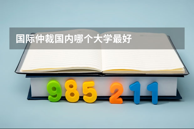 国际仲裁国内哪个大学最好