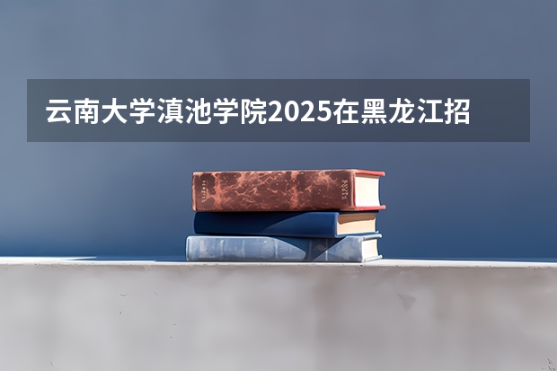 云南大学滇池学院2025在黑龙江招生计划