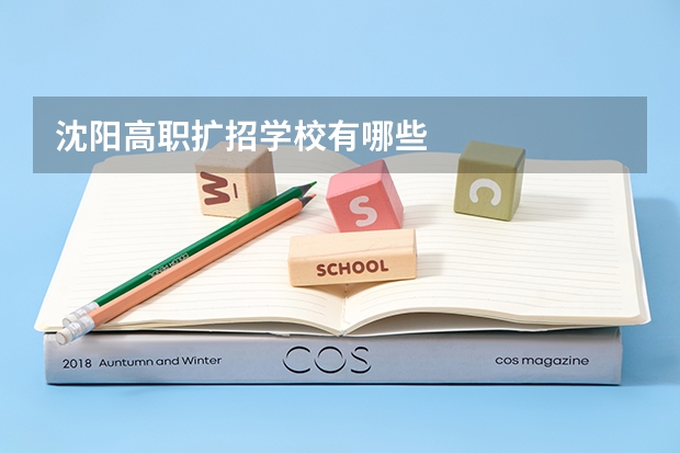 沈阳高职扩招学校有哪些