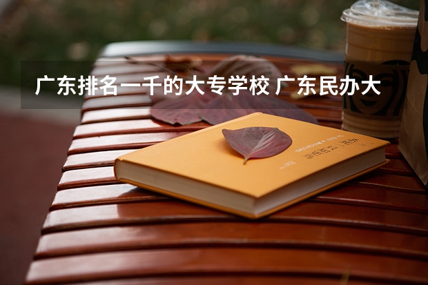 广东排名一千的大专学校 广东民办大专学校排名